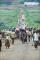 Thousands of refugees carrying their belongings and walking along a long dirt road. Bright green grass and bushes flank the road.